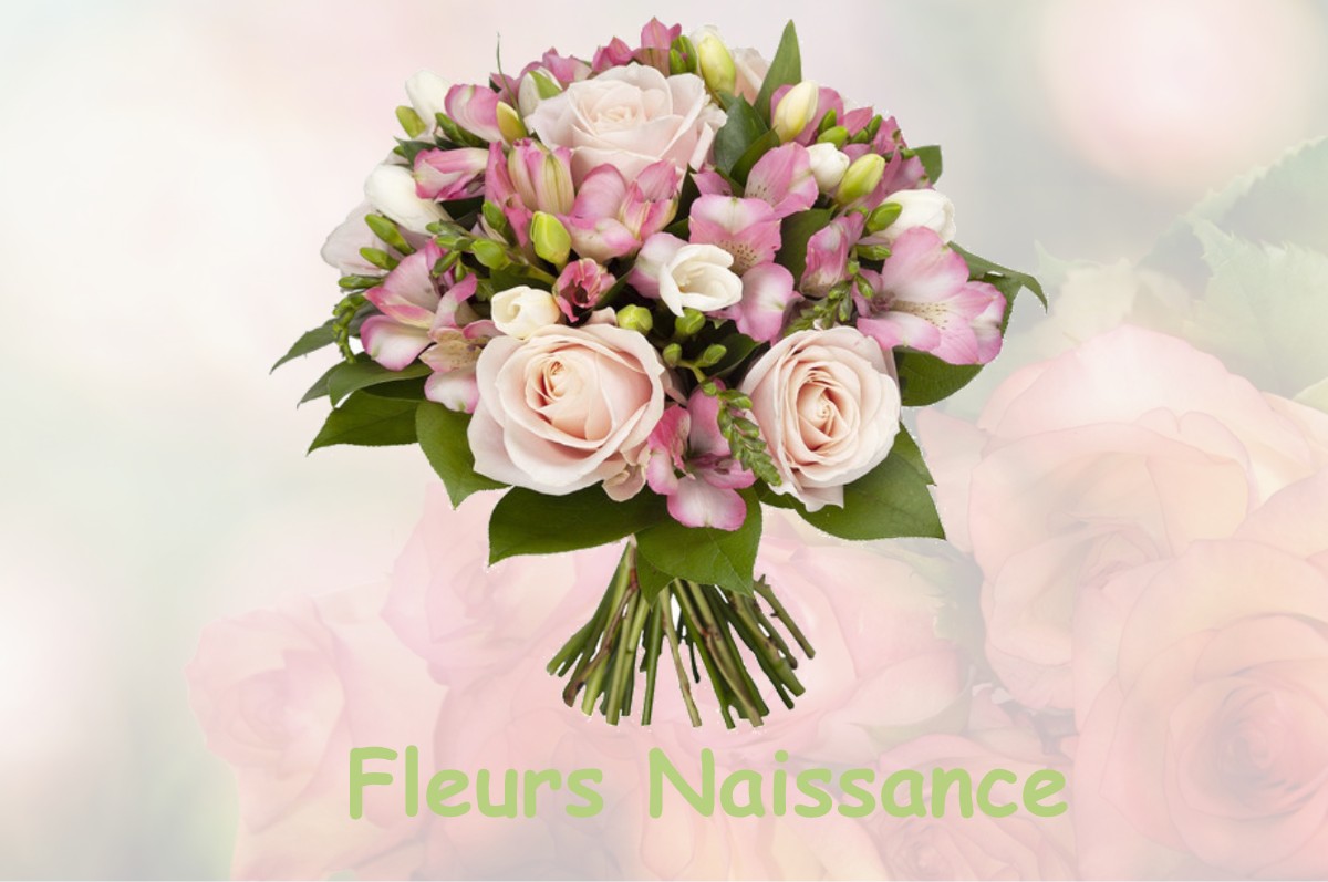 fleurs naissance BAHUS-SOUBIRAN