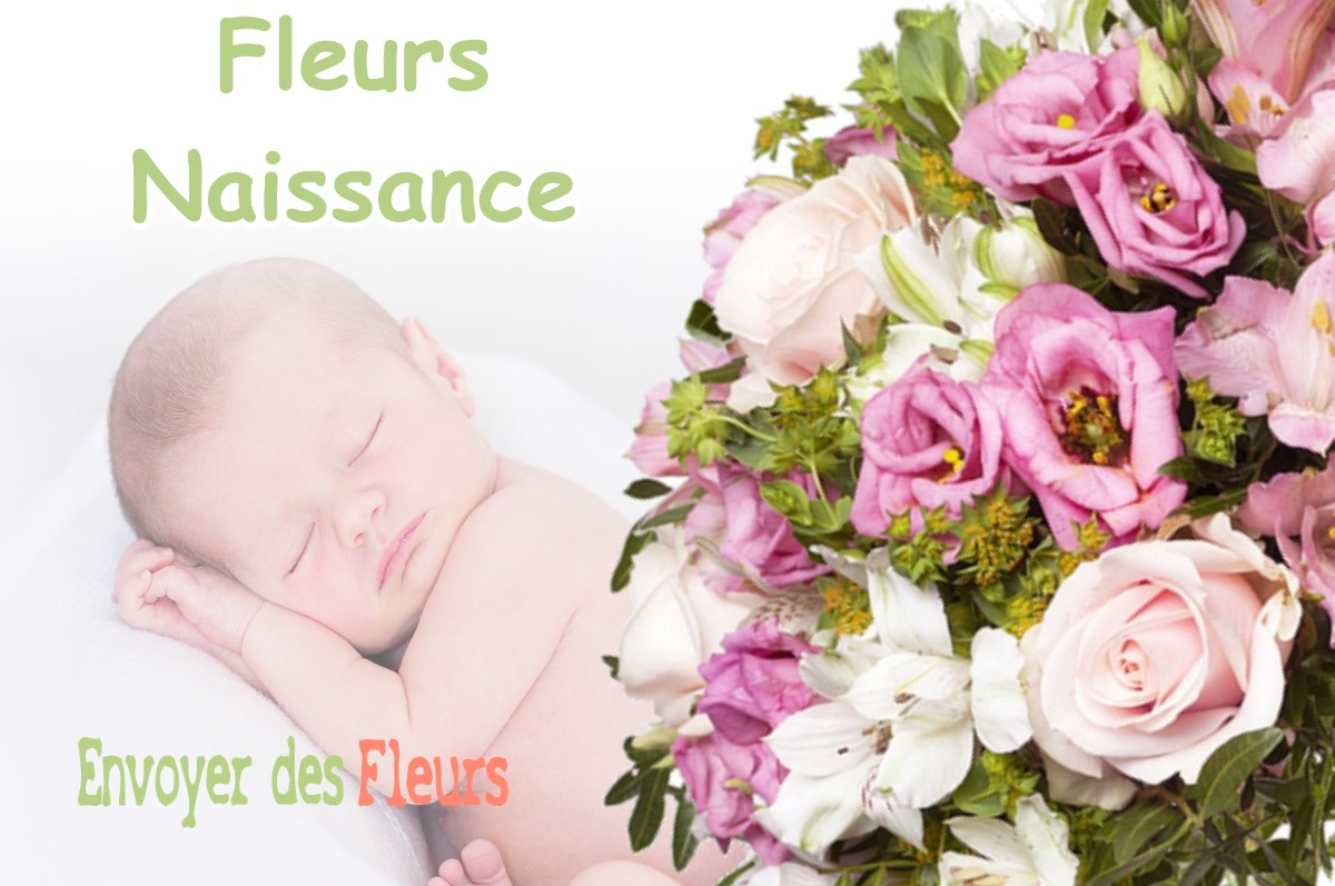 lIVRAISON FLEURS NAISSANCE à BAHUS-SOUBIRAN